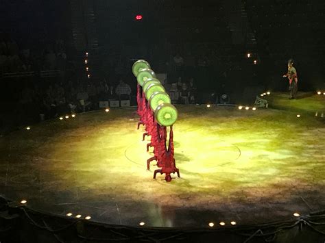 Fans are stunned by O Cirque du Soleil latest performances 28