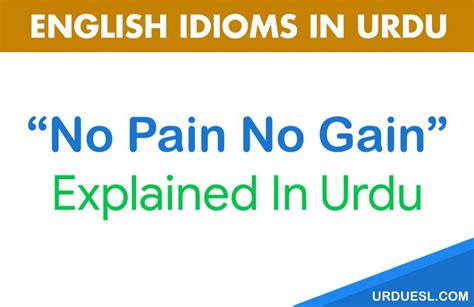 140 Urdu Proverbs And Idioms With English Translation Urdu Muhavare