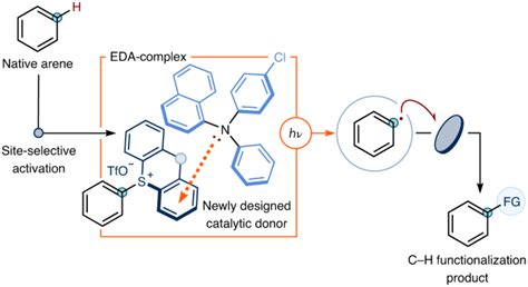 A General Arene C H Functionalization Strategy Via Electron Donor Acceptor Complex