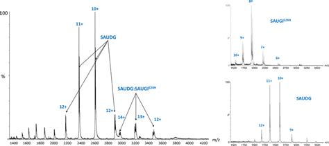 Mass Spectrometric Analysis Of The Protein Complex Where The Download Scientific Diagram