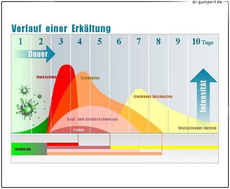 Symptome Einer Erk Ltung