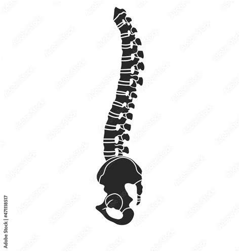 Spine Silhouette