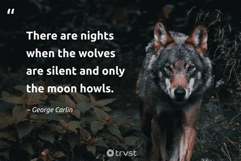 Native American Wolf Proverbs