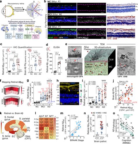 Acta Neuropathologica X Mol