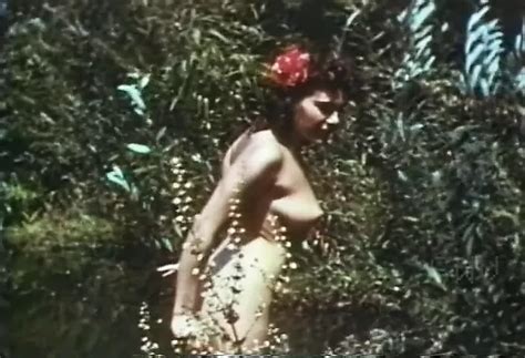 Nc Porn Videos XHamster