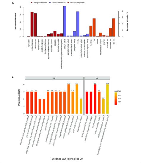 Gene Ontology Go Annotation And Enrichment Analysis Of All 175 Download Scientific Diagram