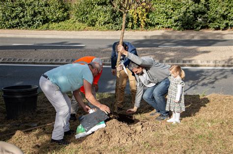 Une Naissance Un Arbre Mairie De Bures Sur Yvette