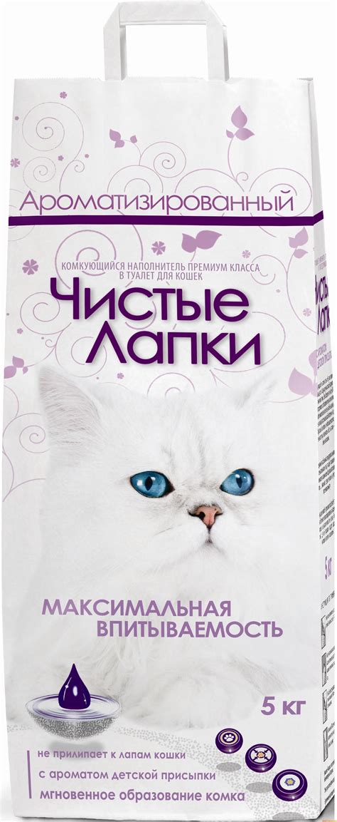 Чистые лапки - картинки и фото koshka.top