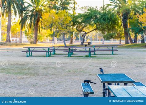 Encanto Park Picnic Area stock photo. Image of bird - 112020698