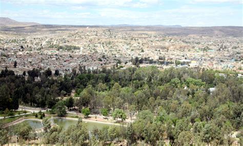 Promueven Censo De Rboles Y Rea Verde