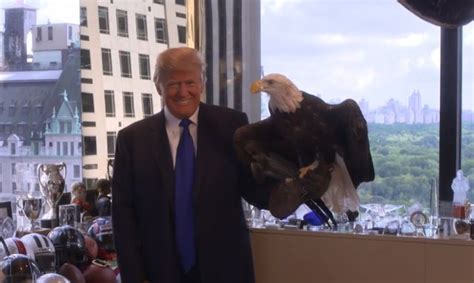 Watch: Donald Trump Gets His Feathers Ruffled by Bald Eagle