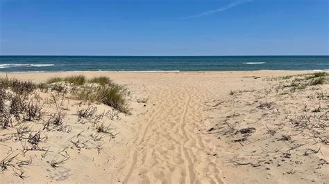 Back Bay NWR: Hike 4 Coastal Trails in Virginia Beach