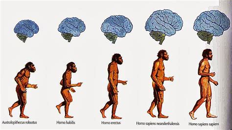 Las Teor As M S Aceptadas Para Explicar El Origen Del Hombre