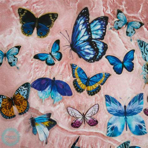 Blue Butterfly Stickers – Starchild Designs