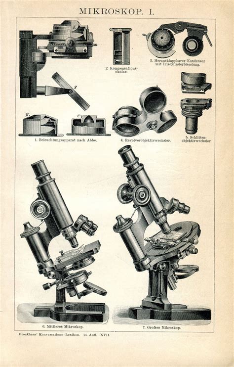 Ca 1890 Old Microscope Antique Engraving Print For Sale In 2023