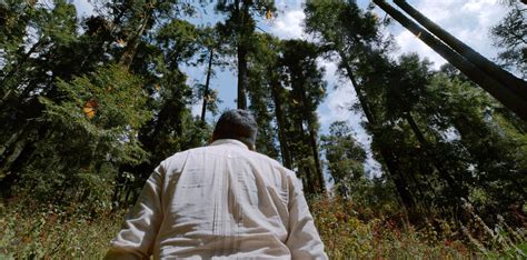 El guardián de las monarcas Documental sobre el ambientalista Homero