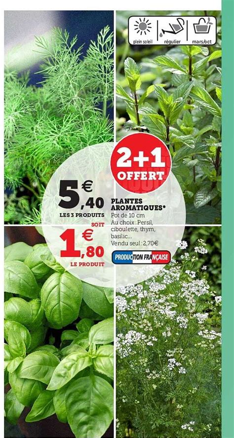 Promo Plantes Aromatiques Chez Hyper U ICatalogue Fr