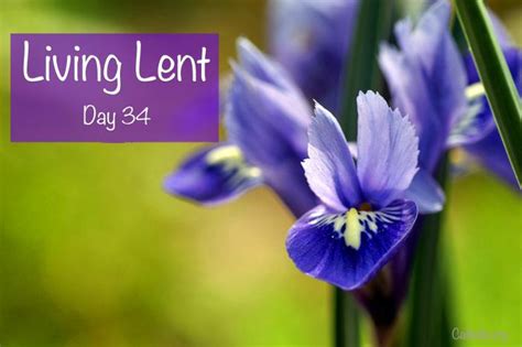 Living Lent Monday Of The Fifth Week Of Lent Day 34 Socials