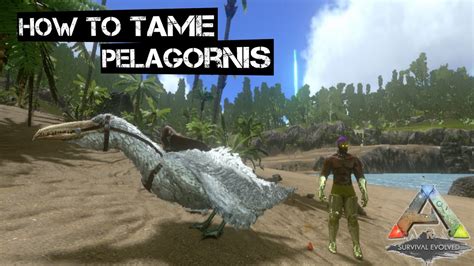 How To Tame Pelagornis S1 E71 Ark Mobile In Tamil Ark Survival