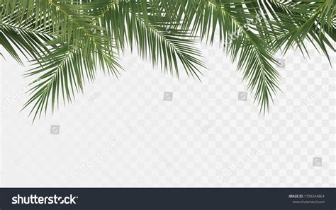 17958 Leaf Vector Edge Images Stock Photos And Vectors Shutterstock