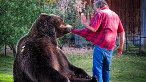 This Mother Bear Picked A Man As An Adoptive Father To Her Cubs The