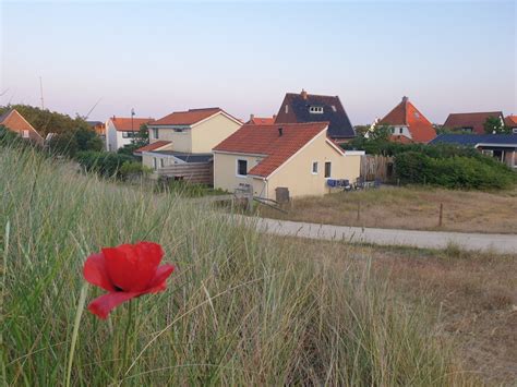 De Duinpan Duinhuisje Texel Reizentexel