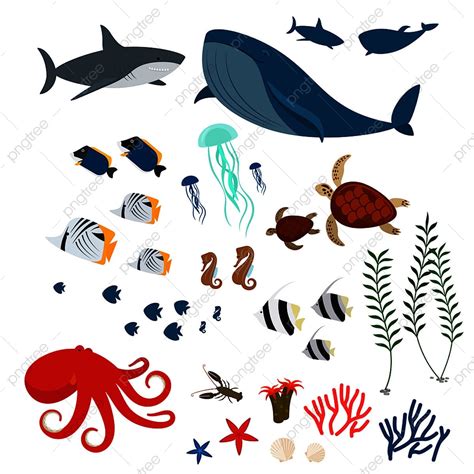 Ocean Sea Animals Vector Hd Png Images Ocean Animals Animal Vector