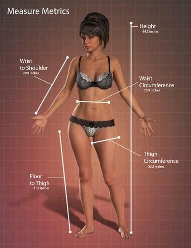 A B C D Or Dd Cup What Are Your Ideal Measurements Free Hot