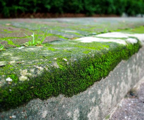 Comment Enlever La Mousse Sur Une Terrasse Astuces Cologiques Et