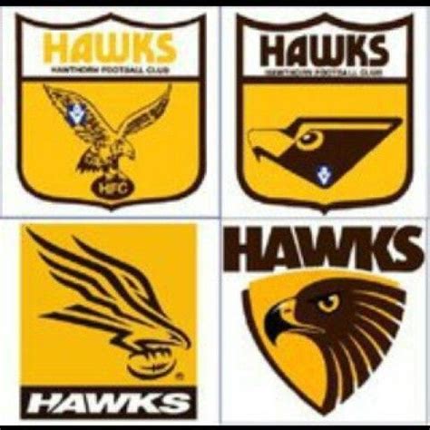 www.hawthornfc.com.au | Hawthorn football club, Hawthorn football, Hawk ...