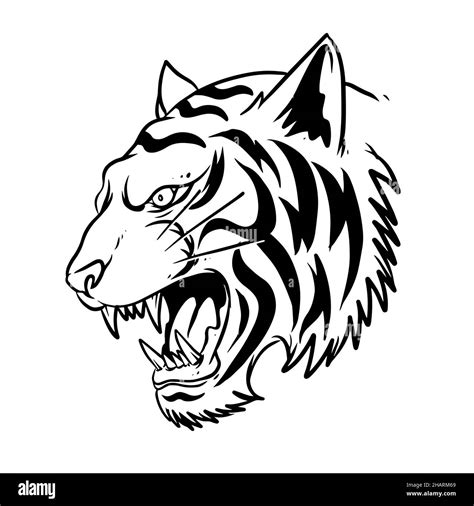 Tiger outline Black and White Stock Photos & Images - Alamy