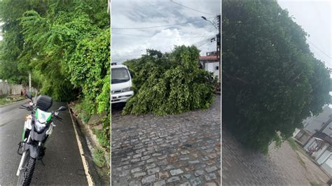 Chuva Em João Pessoa Causa Alagamentos E Queda De árvores Saiba A Quem