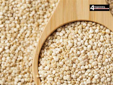 Защо е безценна киноата - майката на всички зърна