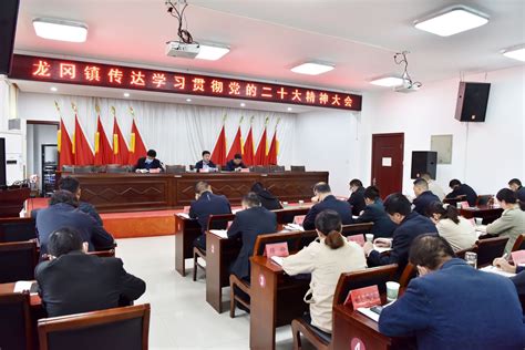 龙冈镇开展传达学习贯彻党的二十大精神大会 盐城新闻网