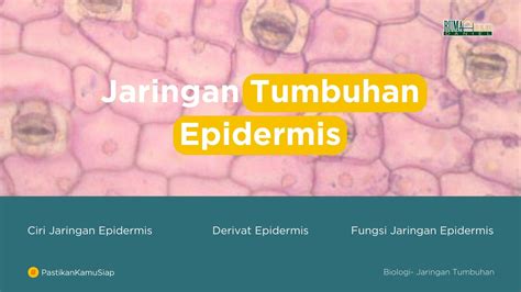 Jaringan Epidermis RBDigital