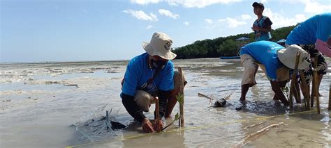 Pelatihan Rehabilitasi Mangrove Bersama Masyarakat Rumah Yapeka