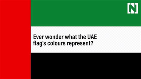 What do the UAE flag's colours represent?