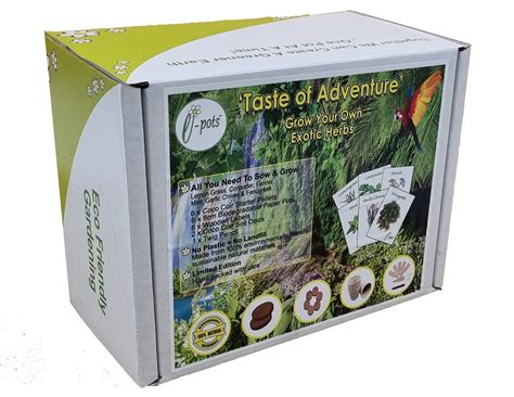 'Taste of Adventure' Grow Your Own Spicy Herbs Gift Set - e-Pots