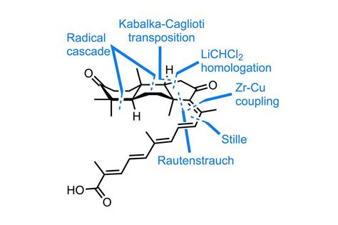 ± Rhabdastrellic Acid A Opinion Chemistry World