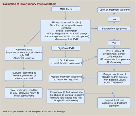 Assessment Of Lower Urinary Tract Symptoms Surgery Oxford