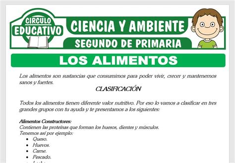 Los Alimentos y su Clasificación para Segundo de Primaria GRATIS