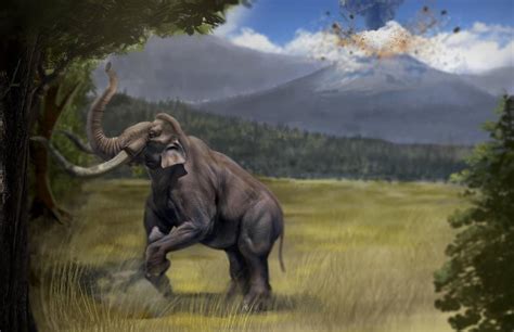 History of a Mamut by hamaterasu25 on DeviantArt