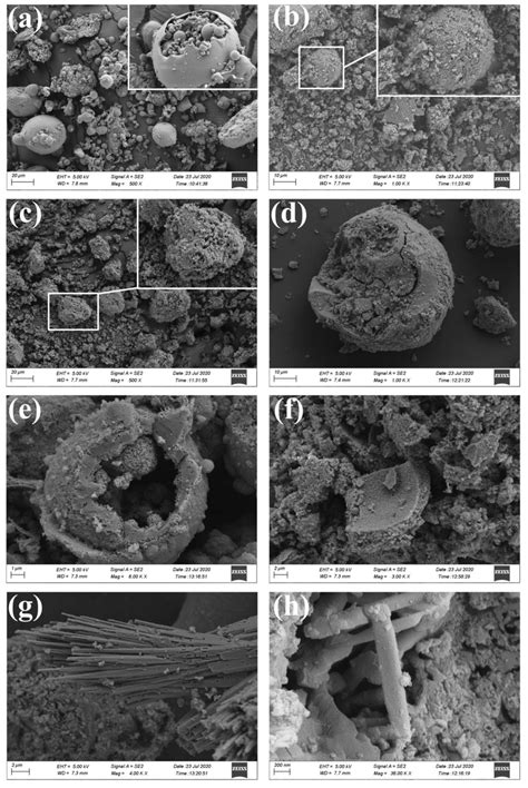 SEM Micrographs Of The Solid Samples With Variation In Calcination