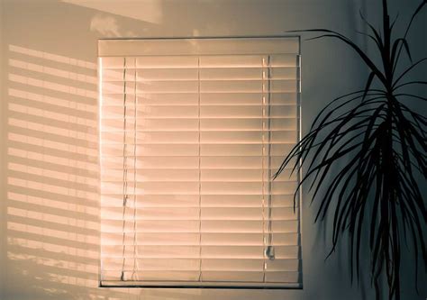 Blind Cleaning & Maintenance Tips - Venluree Blind Services