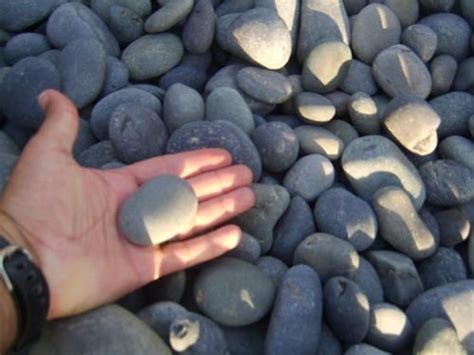 Natural Stone Decorative Black River Pebble For Landscaping At Best