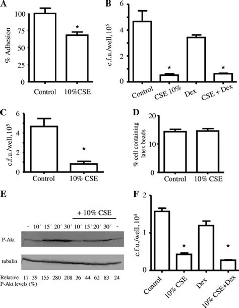 A Adhesion Of NTHI To MH S Alveolar Macrophages Exposed To 10 CSE