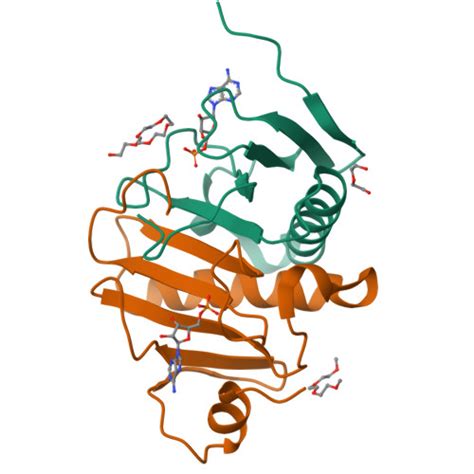 RCSB PDB 4INI Human Histidine Triad Nucleotide Binding Protein 2