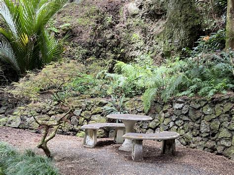 Mt Eden Gardens - Auckland - Where To Go