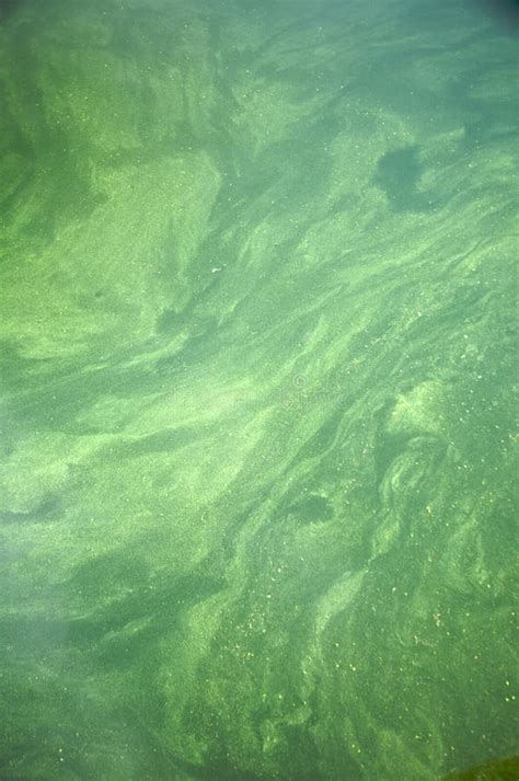 Green Water Stock Image Image Of Lagoon Europe River 12239785