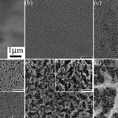 Color Online Cross Section Micrographs Of Porous Gan Sample A 5